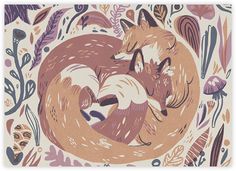 two foxes are curled up in a circle