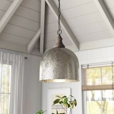 a potted plant sitting on top of a wooden table next to a light fixture