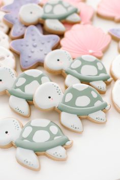 decorated cookies with sea turtles and starfishs on white table top next to each other