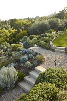 an outdoor garden with steps and bushes