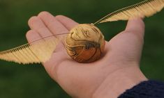 a hand holding a golden object in it's palm