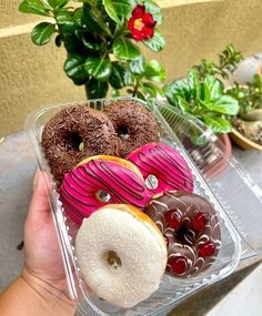 a plastic container filled with assorted donuts next to a potted green plant