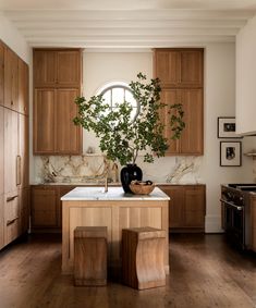 a kitchen with wooden cabinets and a potted plant on the island in front of it