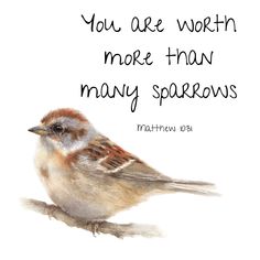 a small bird sitting on top of a white surface with a quote above it that says, you are worth more than man's sparrows