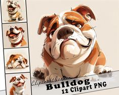 an image of a bulldog cartoon character sheet for use in graphic design and web development