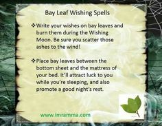 Bay Leaf Wishing Spell Wishing Spell, Wish Spell, Good Luck Spells, Magickal Herbs, Spells For Beginners, Luck Spells, Magic Herbs, Healing Spells