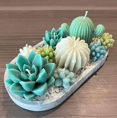 an arrangement of succulents and other plants in a tray on a table