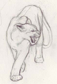 a drawing of a lion with its mouth open