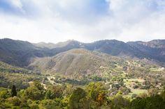 the mountains are covered in trees and grass