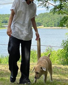 a man walking with a dog in the grass