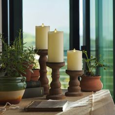 three candles are sitting on a table next to some books and potted plants in front of a window