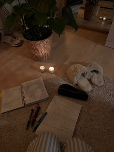 a stuffed animal laying on the floor next to an open book and some writing utensils