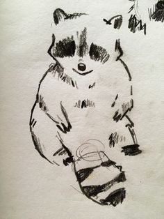 a drawing of a raccoon sitting on its hind legs