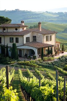 a large house in the middle of a vineyard