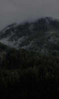 the mountains are covered in fog and low lying clouds, with trees on either side