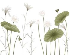 some white flowers and green leaves on a white background