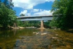 a bridge over a river with rocks in the foreground and trees on either side