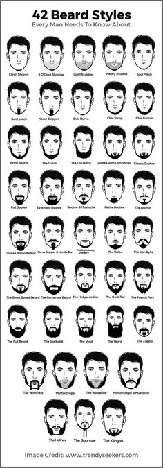 Popular Beard Styles, Beard Styles Shape, Faded Beard Styles, Shaved Head With Beard, Beard Drawing, Stylish Beards, Beards And Mustaches, Curly Beard, Grow A Beard