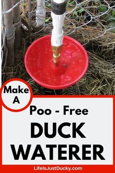 a red bowl with a water faucet attached to it and the words make a poo - free duck water dispenser