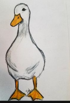 a drawing of a duck with yellow feet