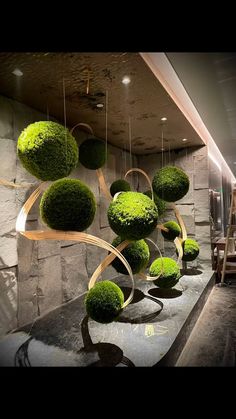 some green plants hanging from the side of a wall in a room with stone walls