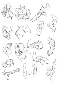 a bunch of different poses and muscles drawn in pencil on white paper with black ink