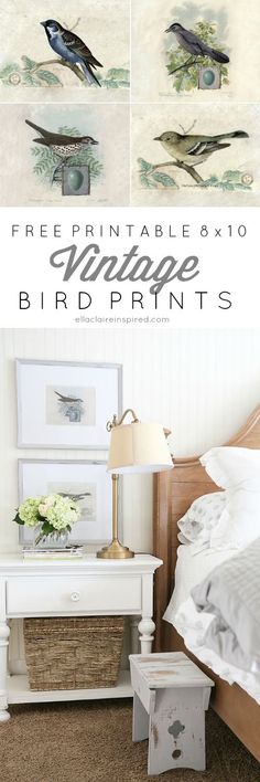 the birds are sitting on top of the dresser in this bedroom with white walls and carpet