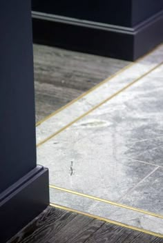 a cat sitting on the floor next to a black pole and some blue walls with gold trim