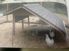 an open book with pictures of chickens and a chicken coop on it's cover