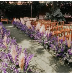 rows of wooden chairs with purple flowers in the foreground