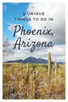 a field with cacti and mountains in the background text reads 9 unique things to do in phoenix, arizona