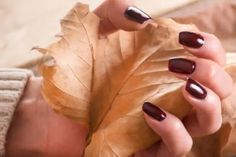 Want to get the best fall vibes with your nails ? Then you are absolutely at the right place. In this article I have gathered 14 best fall nail colors for fair skin tones. These fall nail colors are classy,...Read the Post Holiday Nails Thanksgiving, Talon Nails, Autumn Manicure, Shiny Nails Designs, Background Autumn, Woman Hands, Holiday Nails Winter, Brown Nail Polish