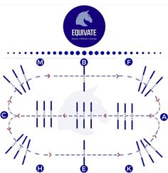 a diagram showing how to use the equinate