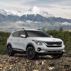 a white suv parked on top of a grass covered field in front of a mountain