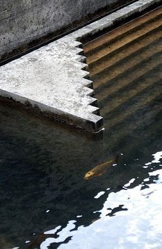 an image of steps in the water that are going up to the wall and down