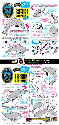 an info sheet showing how to draw dolphins in different colors and sizes, with instructions for each