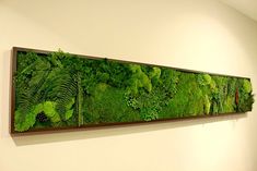 a large green wall hanging on the side of a white wall next to a toilet