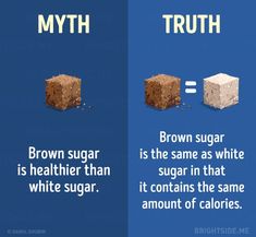 15 Myths About a Healthy Diet You Need to Stop Believing Facts About Chocolate, Sugar Infographic, Coffee Facts Infographic, Childhood Obesity Facts, Food Myths, Amazing Science Facts