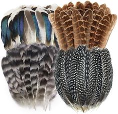 three different types of feathers on a white background