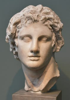 a white marble bust of a man with curly hair