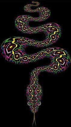 a colorful snake on a black background with an intricate design in the middle and bottom