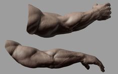 two images of the arm and hand of a man with no arms, one showing it's muscles