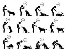 an image of people with dogs in different poses and actions illustration on white background stock photo