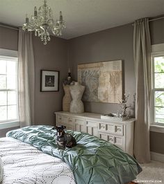 a dog sitting on top of a bed in a room with two windows and a chandelier