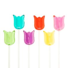 four different colored lollipops on a white background