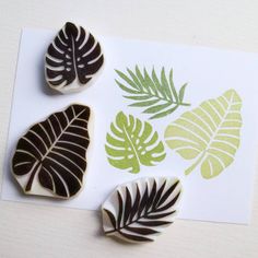 four different types of leaves on a card