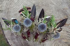 an arrangement of flowers and feathers on a tree stump