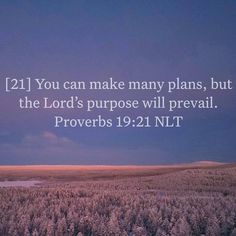 an image with the words, 21 if you can make many plans, but the lord's purpose will prevail prove