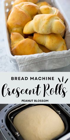 bread rolls in a loaf pan with text overlay reading bread machine crescent rolls peanut blossom