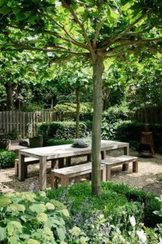 a wooden table sitting under a tree in the middle of a garden